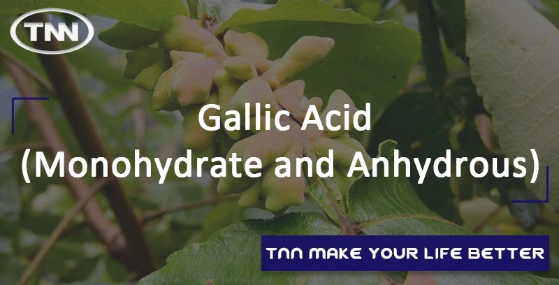gallic acid