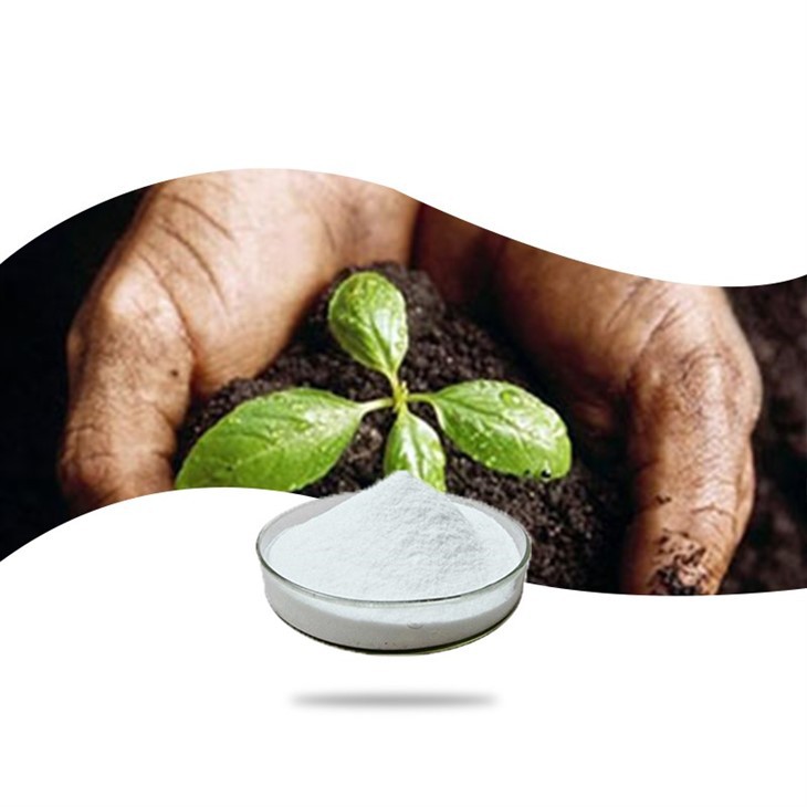 Potassium acetate China