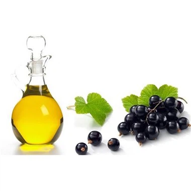 Blackcurrant Seed Oil