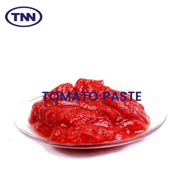 Tomato Paste TNN